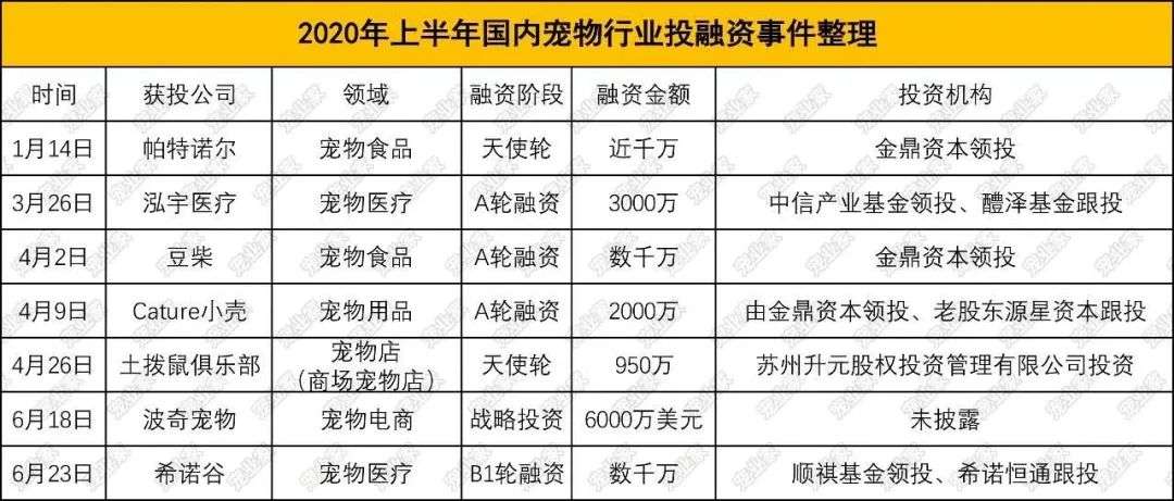 每5秒一场宠物直播，萌宠短视频催生新经济“养活”铲屎官