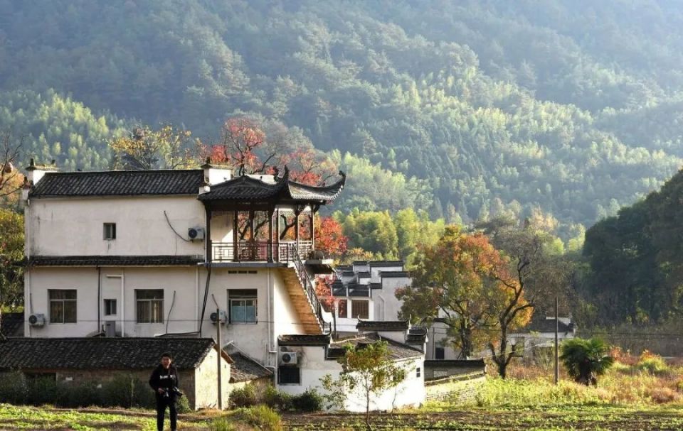 有宅基地要继承的看过来，这事并没那么简单